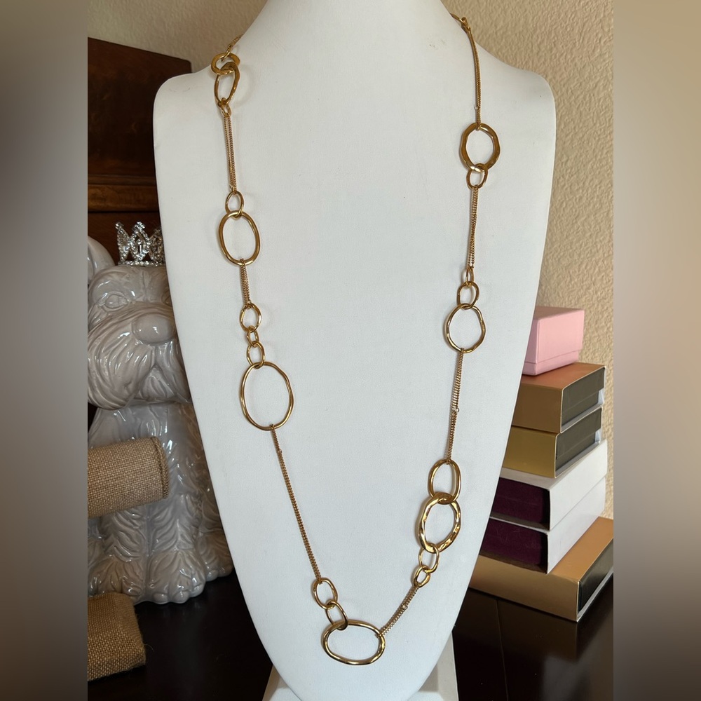 Chloe + Isabel Long Organic Link + Chain Necklace